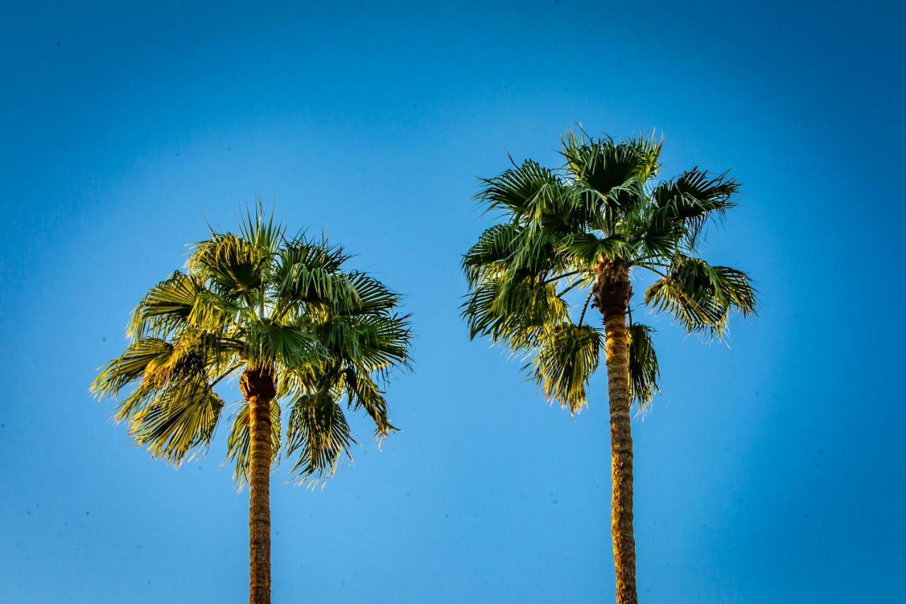 Hotel California Palm Springs Eksteriør billede
